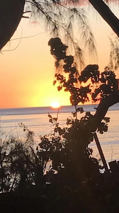 Pointe Venus Lodge Mahina