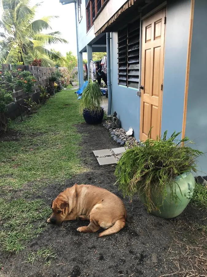 Pointe Venus Lodge Mahina