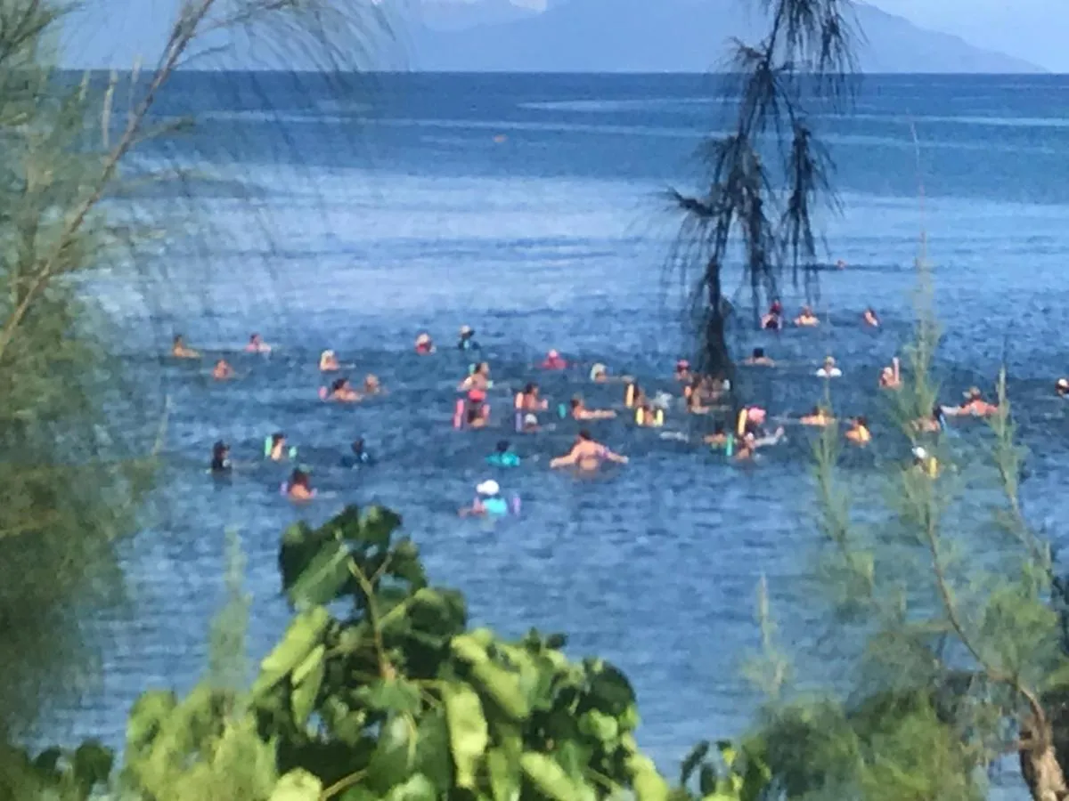 Pointe Venus Lodge Mahina