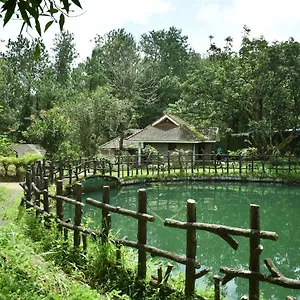 Adrak Summer Sand Hill , Vagamon India