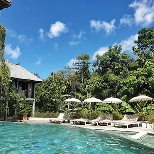https://boho-bingin-beach.hotelsseminyak.net